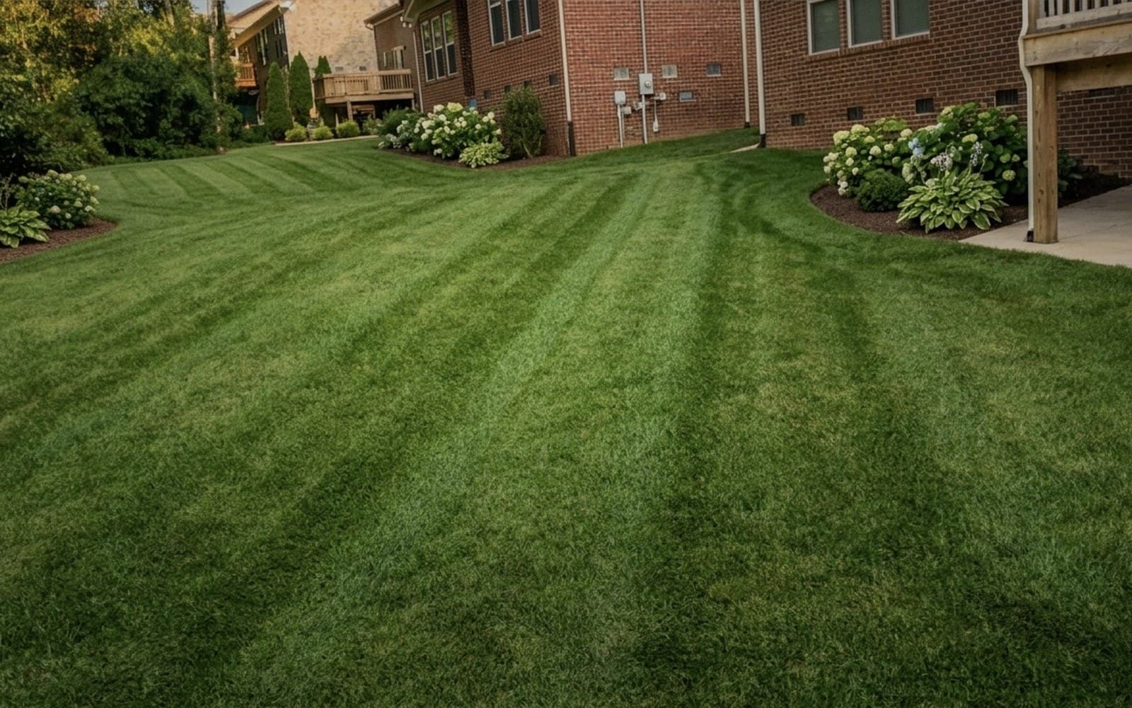 Backyard with hydrangeas and detailed mowing stripes by Stripe Authority in Fairview TN